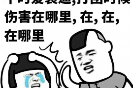 大名债务清欠服务