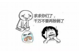 大名债务清欠服务